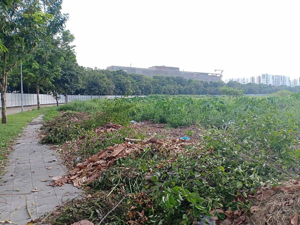 Gamuda Land mo ban du an Diamond Alnata khi chua duoc cap phep?-Hinh-2