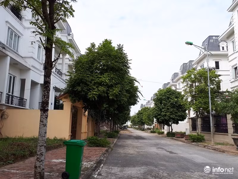 Trải dài trước mắt là từng dãy biệt thự không một bóng người...
