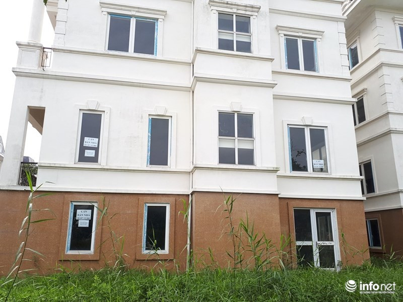 Vào thời kỳ sốt giá năm 2010, mỗi m2 của dự án được bán trên dưới 75 triệu đồng, tương đương mỗi căn biệt thự lên tới hàng chục tỷ đồng. Tuy nhiên, hiện trên thị trường, một số căn hộ được rao bán mỗi mét vuông chỉ bằng nửa mức giá trước kia nhưng vẫn khó có giao dịch.