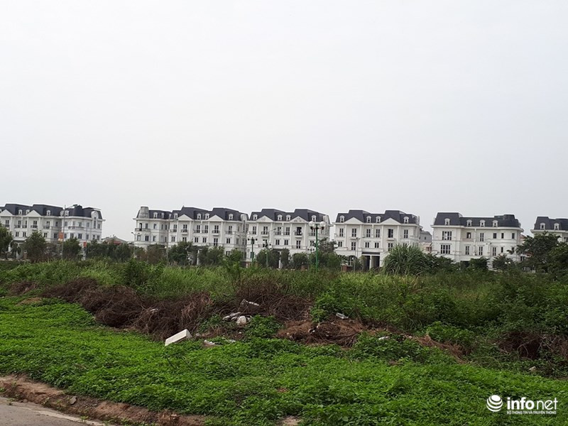 Tất cả các căn biệt thự này đều trong tình trạng "cửa đóng then cài" và ngập trong màu xanh cỏ dại...