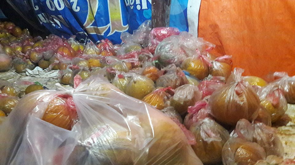 Mặc áo nilon cho bưởi.