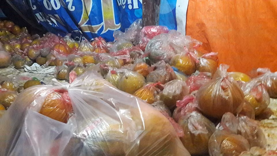 Mặc áo nilon cho bưởi.