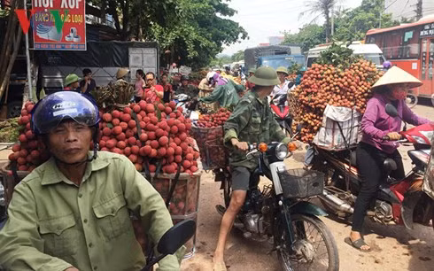 Các tuyến đường tới huyện Lục Ngạn tấp nập người mua người bán.