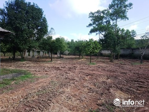 Mới đây, chủ đầu tư mới cho phát quang cây cỏ, san ủi.