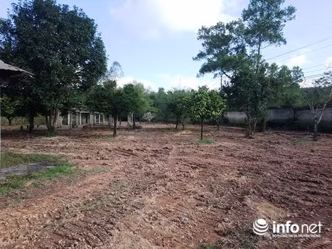 Mới đây, chủ đầu tư mới cho phát quang cây cỏ, san ủi.