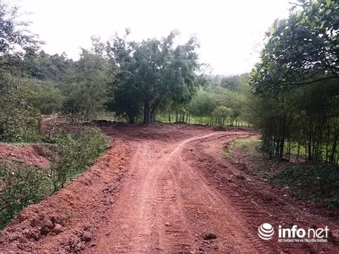 Đường chính đi vào khu du lịch.