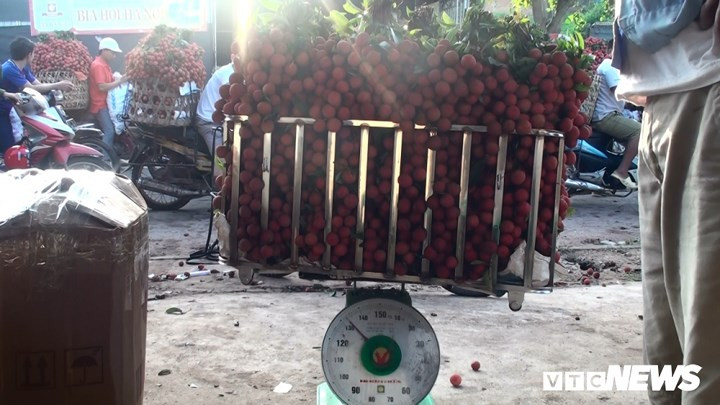 Vải đưa lên bàn cân tổng trọng lượng, sau đó trừ sọt, trừ cuống từ 9 đến 20 kg/100 kg. Đây là thiệt thòi lớn nhất của người bán vải bởi tất cả chỉ là áng chừng và thỏa thuận miệng.