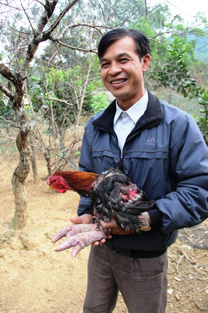 Anh Tấn khoe con gà Đông Tảo có giá vài trại đồng. Ảnh: HĐ