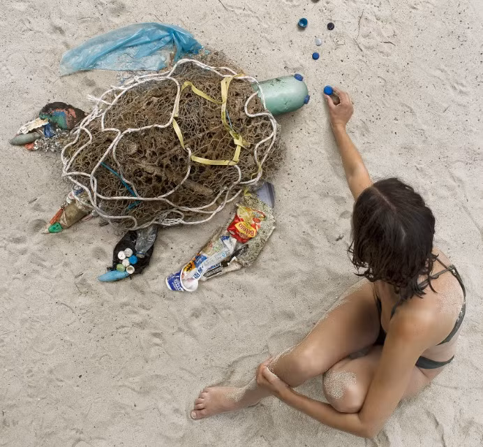 Tac pham dong vat tu nhua: Chung ta da lam gi voi Trai Dat?