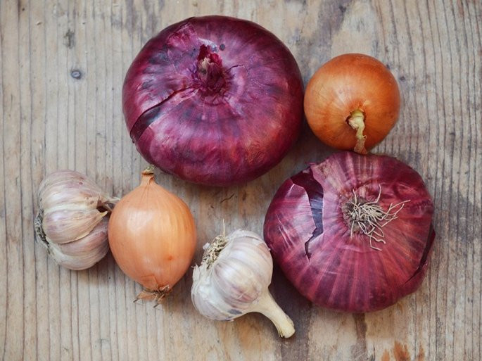 Các loại rau củ như khoai tây, cà chua, hành tây, hẹ tây, tỏi, đậu Hà Lan, cần tây, bí ngô, nấm, nấm cục, đậu xanh, đậu các loại cũng gánh mức thuế mới. Ảnh: Shutterstock.