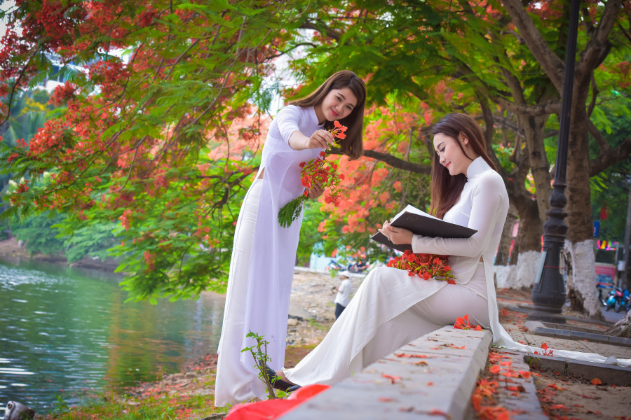 Tu vi chu nhat ngay 25/11/2018 cua 12 con giap-Hinh-3