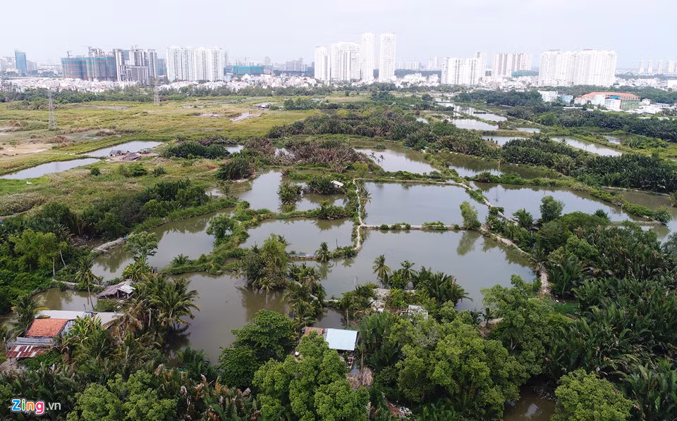 Một phần diện tích khá lớn nằm gần đường Đào Sư Tích lâu nay người dân nuôi trồng thủy sản.