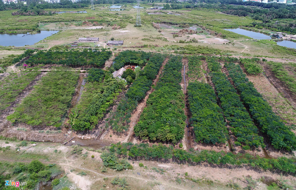 Công trình hiện hữu nhất của doanh nghiệp này trong diện tích đất này là khu vườn với hàng nghìn cây xanh đô thị các loại đã được ươm 3 năm nay. Trong báo cáo tài chính 2017, QCG nêu rõ đã nhận từ Sunny Island tổng số tiền 2.882,8 tỷ đồng, và đã sử dụng để thanh toán toàn bộ nợ cho BIDV Quang Trung.