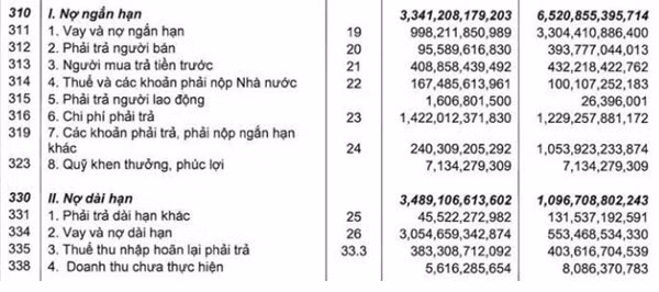 Lo so no khung cua dai gia Dang Thanh Tam-Hinh-2