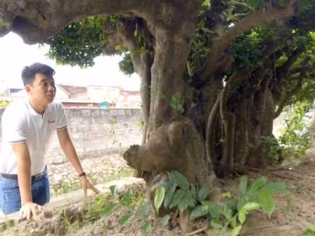 "Cu" duoi gan 300 tuoi gia 1,2 ty co gi dac biet?-Hinh-10