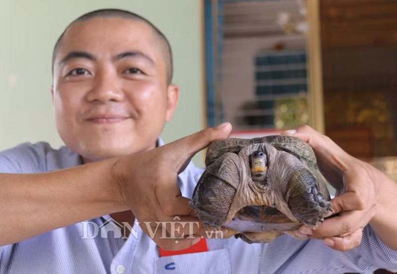 Một người khách tranh thủ chụp hình cùng con rùa siêu dị.