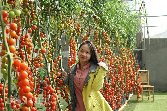 Du khách đến uống cà phê có thể tự mình trải nghiệm để trở thành những người nông dân thực thu.