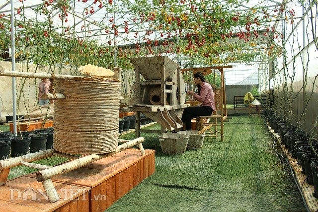 Nhiều nông cụ từ xa xưa cũng được tái hiện lại trong quán cà phê lạ lùng này.