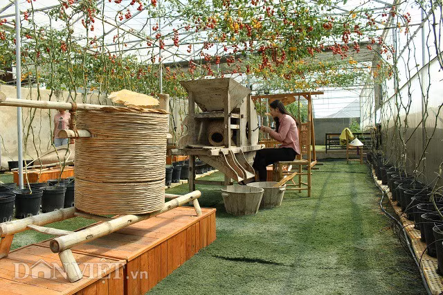 Nhiều nông cụ từ xa xưa cũng được tái hiện lại trong quán cà phê lạ lùng này.