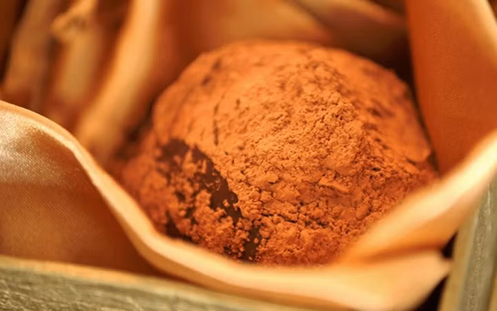 Món sô-cô-la nấm giá 1.000 USD được chế biến bởi đầu bếp Frizt Knipschildt. Sô-cô-la tuyệt hảo được nhập từ Ecuador bao bọc loại nấm truffle quý hiếm nhất thế giới. (Ảnh: CNBC)