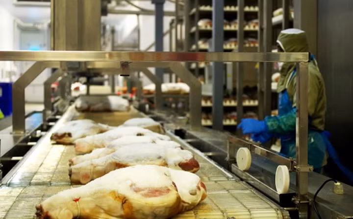 Dây chuyền chế biến đùi lợn muối với nhiều máy móc hiện đại.