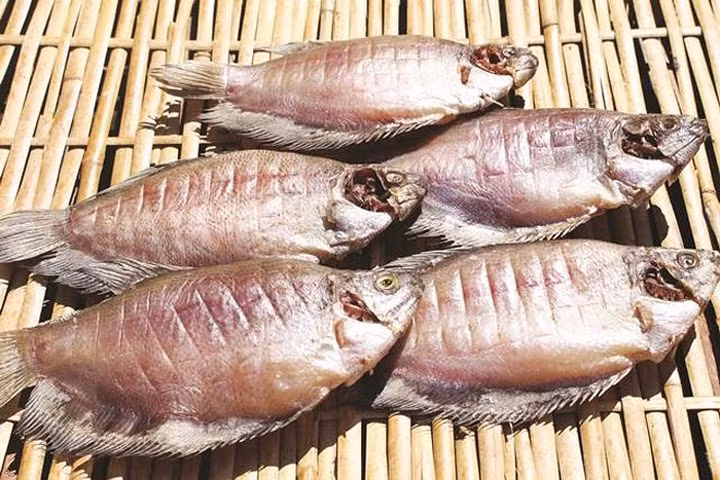 Đây cũng là thời điểm đi đến đâu cũng thấy nhà nhà tranh thủ nắng tốt để phơi cá khô. Ảnh: tintucmientay.