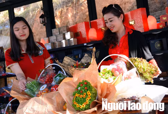 Các giỏ quà Tết nông sản độc lạ sẽ được tung ra thị trường TP HCM, Đà Nẵng, Hà Nội và các tỉnh miền Trung dịp Tết cổ truyền 2018.