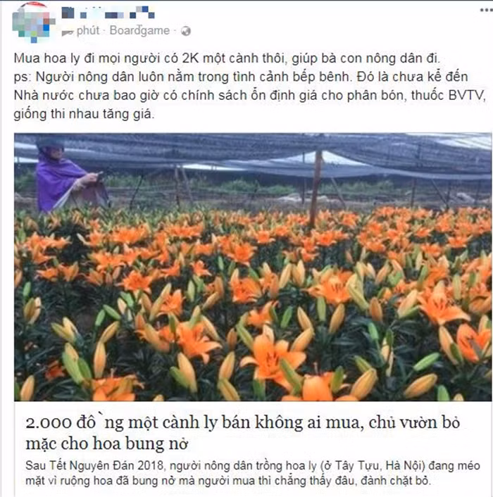 Kêu gọi giải cứu hoa ly trên mạng xã hội facebook.