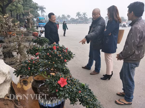 Gian hàng của anh Đạt ở khu hội chợ sân vận động Mỹ Đình (Hà Nội) thu hút khá nhiều khách tới thăm quan, mua hàng.