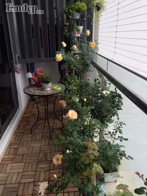 Khoảng không gian yêu thích của chị Thùy Linh, giúp chị tìm thấy niềm vui trong cuộc sống.