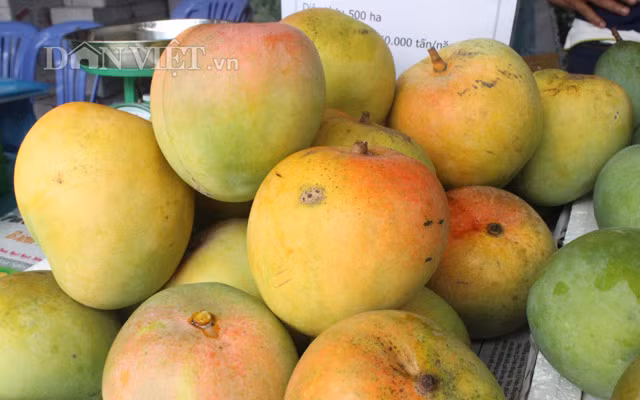 Chiem nguong nam rung khung, ca dua dac san o cho phien nong san-Hinh-9