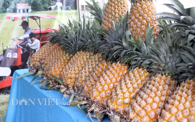 Chiem nguong nam rung khung, ca dua dac san o cho phien nong san-Hinh-8