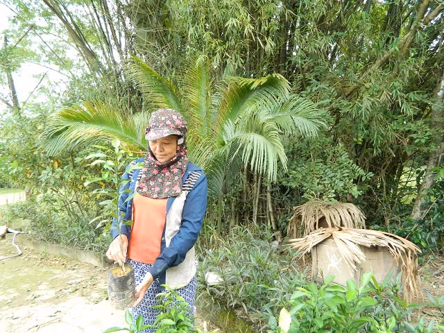 Trong phai cam "dai", ban re chang ai mua, cho khong ai lay-Hinh-3