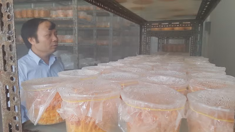 Giau vo, cam so do vi me nuoi dong trung ha thao-Hinh-2