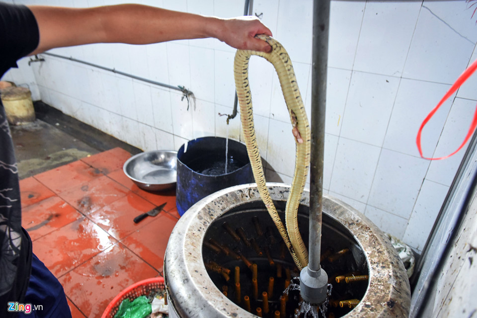 Lam giau nho ran doc-Hinh-10