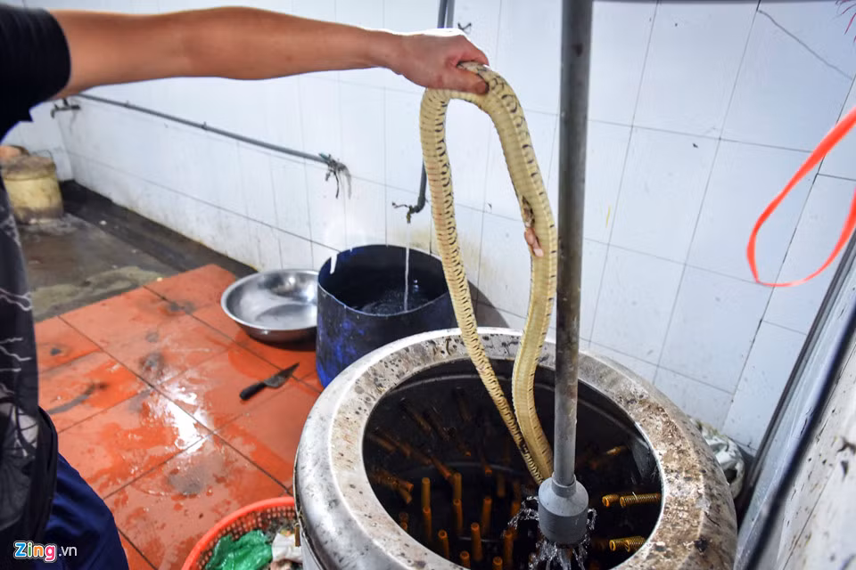 Lam giau nho ran doc-Hinh-10