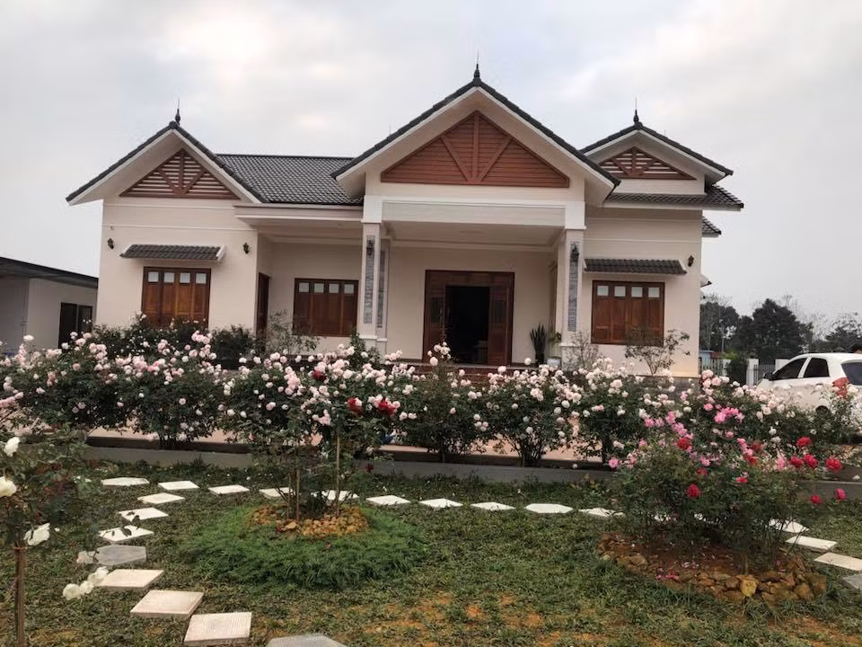 Còn lại toàn bộ từ sân trở là trồng hồng cổ Sapa và một số giống hồng khác.