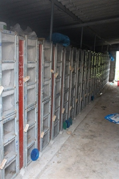 Mỗi ô này là nhà riêng của một con rắn ráo trâu trong độ tuổi sinh sản.