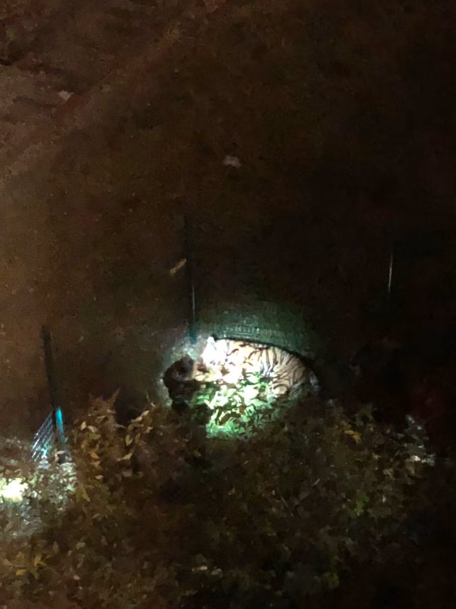 Ho du 2 ta song chuong gay nao loan Paris-Hinh-2