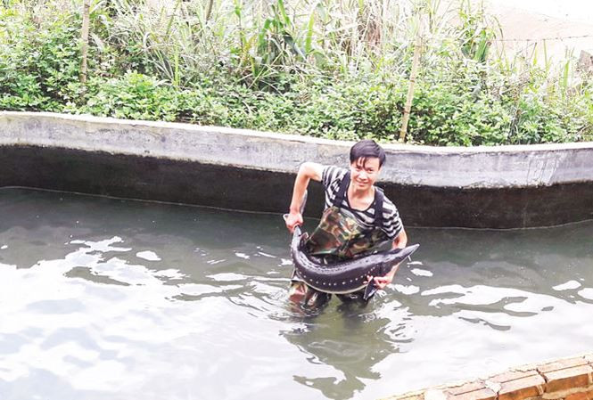 Đỗ Văn Vũ với con cá tầm nặng hơn 20kg.