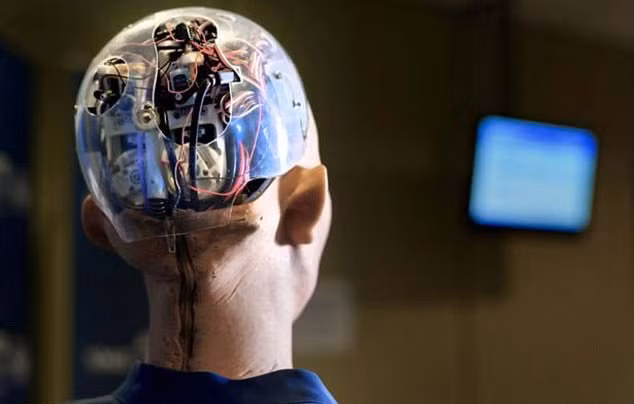 Tuyen bo soc cua robot duoc cap quyen cong dan dau tien the gioi-Hinh-2