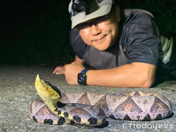 Anh Wang quan sát một chú rắn lục mũi hếch (bách bộ xà).