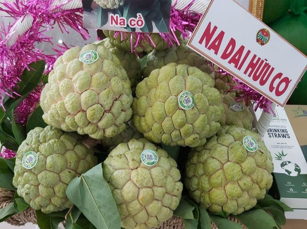 HTX trong na khong lo tren nui cao: Mot nam lai 120 ty-Hinh-3