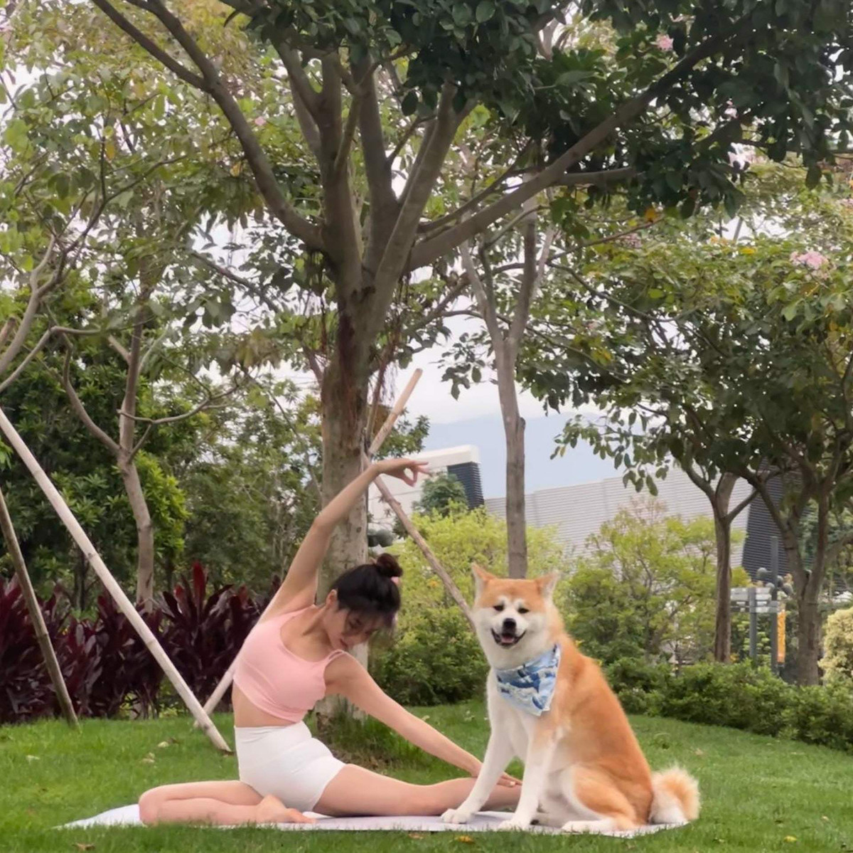 Trên thực tế, "RTHK Sports 123" là một chương trình về thể thao. Nơi mời những HLV yoga, gym,... nổi tiếng, đến và cùng MC thực hiện các thử thách thể thao, đồng thời hướng dẫn cho người xem các bài tập phù hợp. Thế nên, việc người dẫn chương trình và khách mời mặc đồ tập trên sóng chương trình này là chuyện bình thường. Hầu hết người chơi đều khéo léo mặc đồ tập kín đáo, chất liệu dày dặn co giãn.