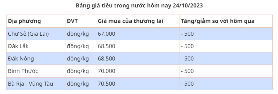 Gia tieu hom nay 24/10/2023: Giam 500 dong/kg