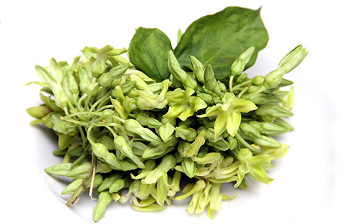 Dan ong yeu sinh ly nen an hoa thien ly