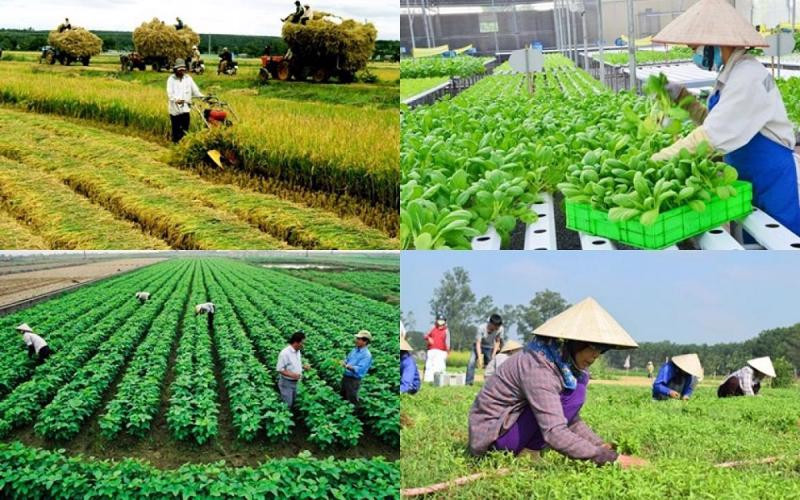 Nhung chinh sach co hieu luc tu thang 11/2024 nguoi dan nen biet