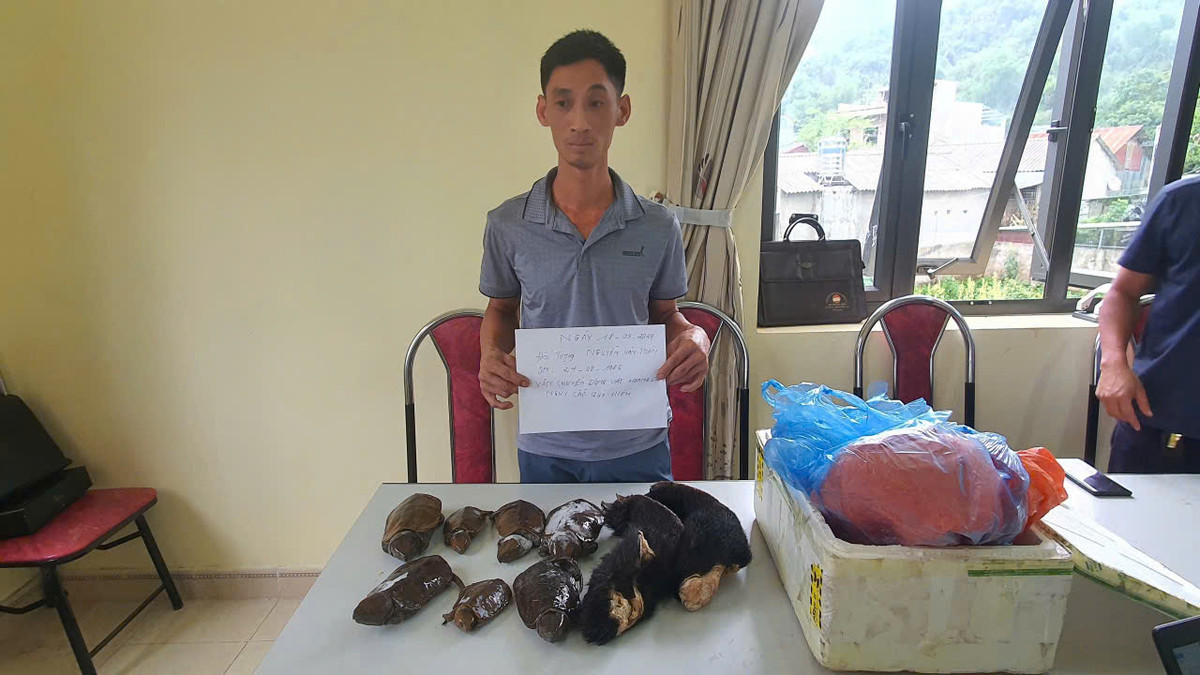 Bắt tạm giam đối tượng trong đường dây buôn bán động vật quý hiếm - Hình 2 Bat tam giam doi tuong trong duong day buon ban dong vat quy hiem-Hinh-2