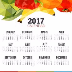 Vậy trong năm 2017, người tuổi gì dễ phạm phong thủy, vận hung tai họa không ngớt? Năm 2017 có tuổi Mão xung Thái Tuế, tuổi Dậu hình Thái Tuế, tuổi Tuất hại Thái Tuế và tuổi Tý phá Thái Tuế vì thế những con giáp này cần phải hết sức thận trọng đặc biệt là tuổi Mão. Nguồn ảnh: Interet.