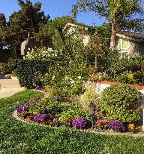 Bao quanh lối dẫn vào nhà là con đường nhỏ với rực rỡ sắc màu của cây cảnh, cây cỏ, hoa lá, điển hình cho những ngôi nhà ở vùng quê yên bình.